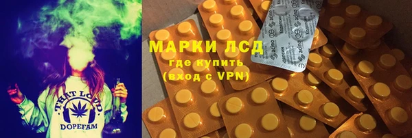 ПСИЛОЦИБИНОВЫЕ ГРИБЫ Алексин