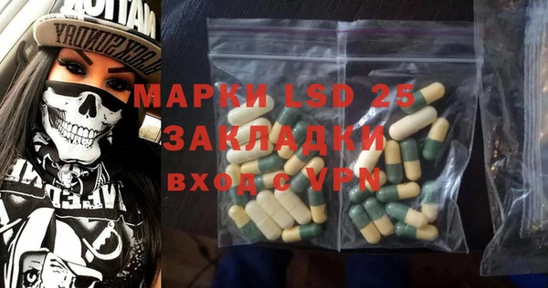 ПСИЛОЦИБИНОВЫЕ ГРИБЫ Алексин