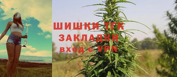 ПСИЛОЦИБИНОВЫЕ ГРИБЫ Алексин